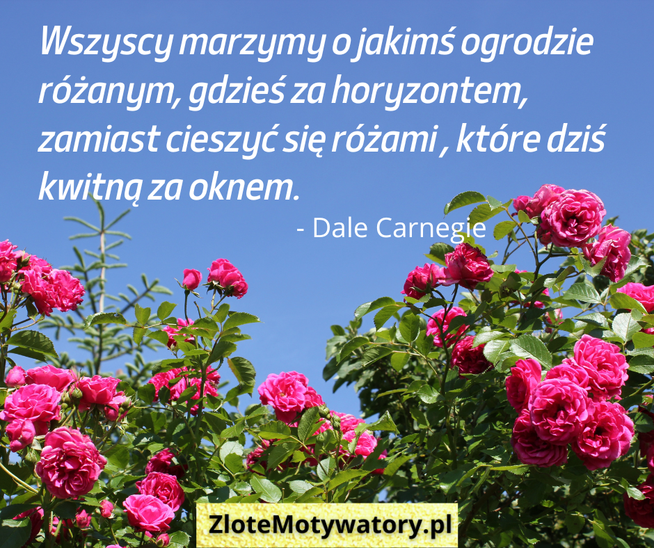 Dale Carnegie cytaty